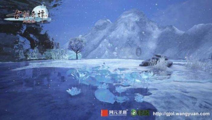 石斛泡水喝的功效和作用,快来看看吧!